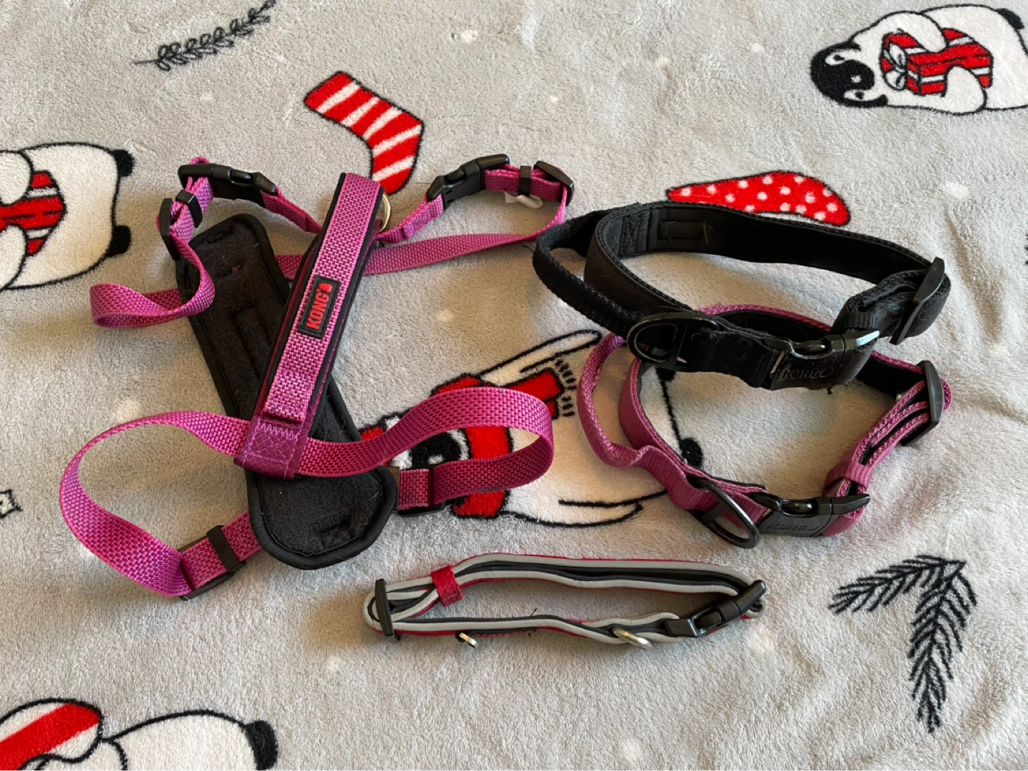 Medium Kong Dog Collars & Harness Lot