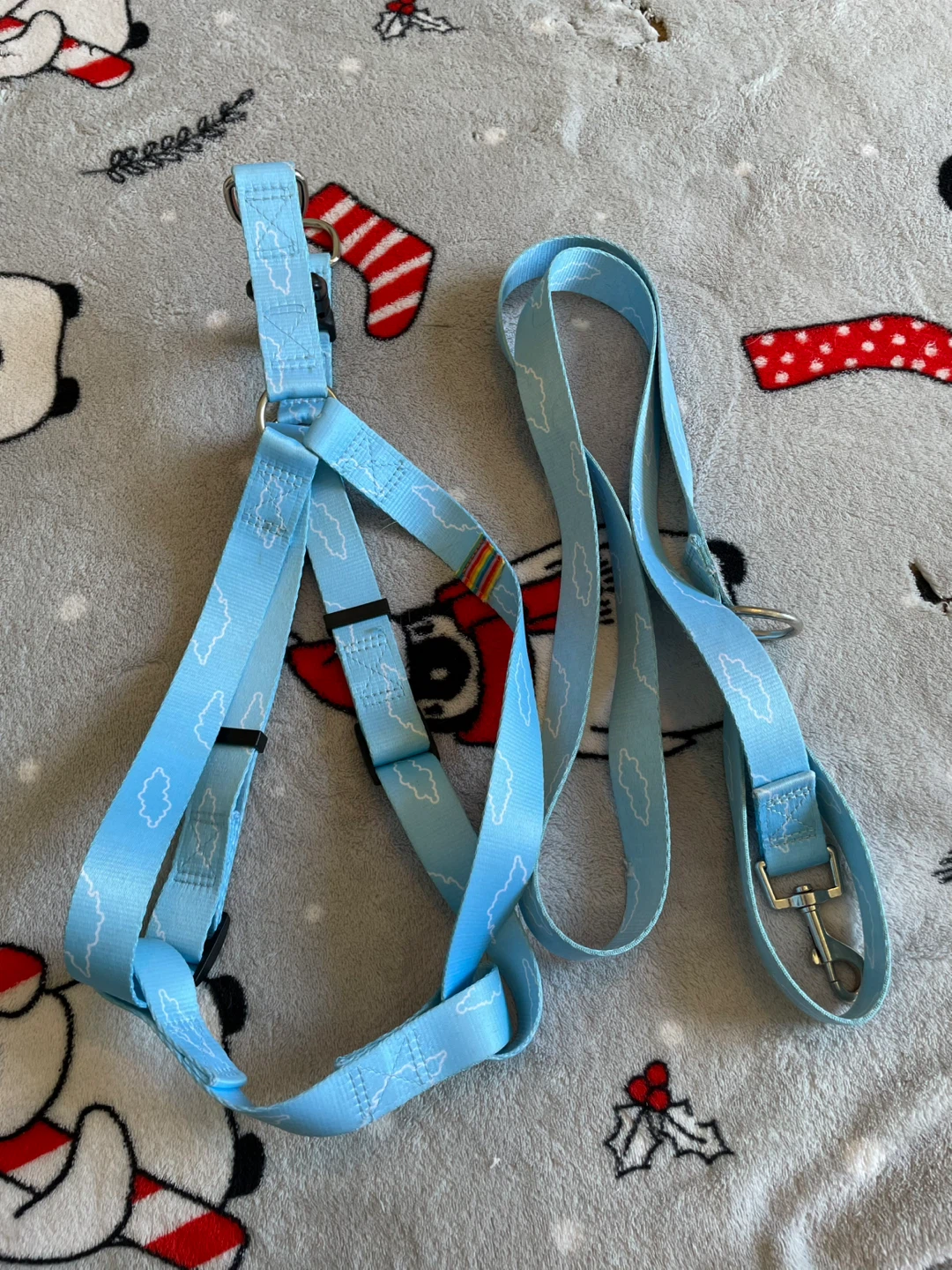 Large Dog Harness & Leash Set