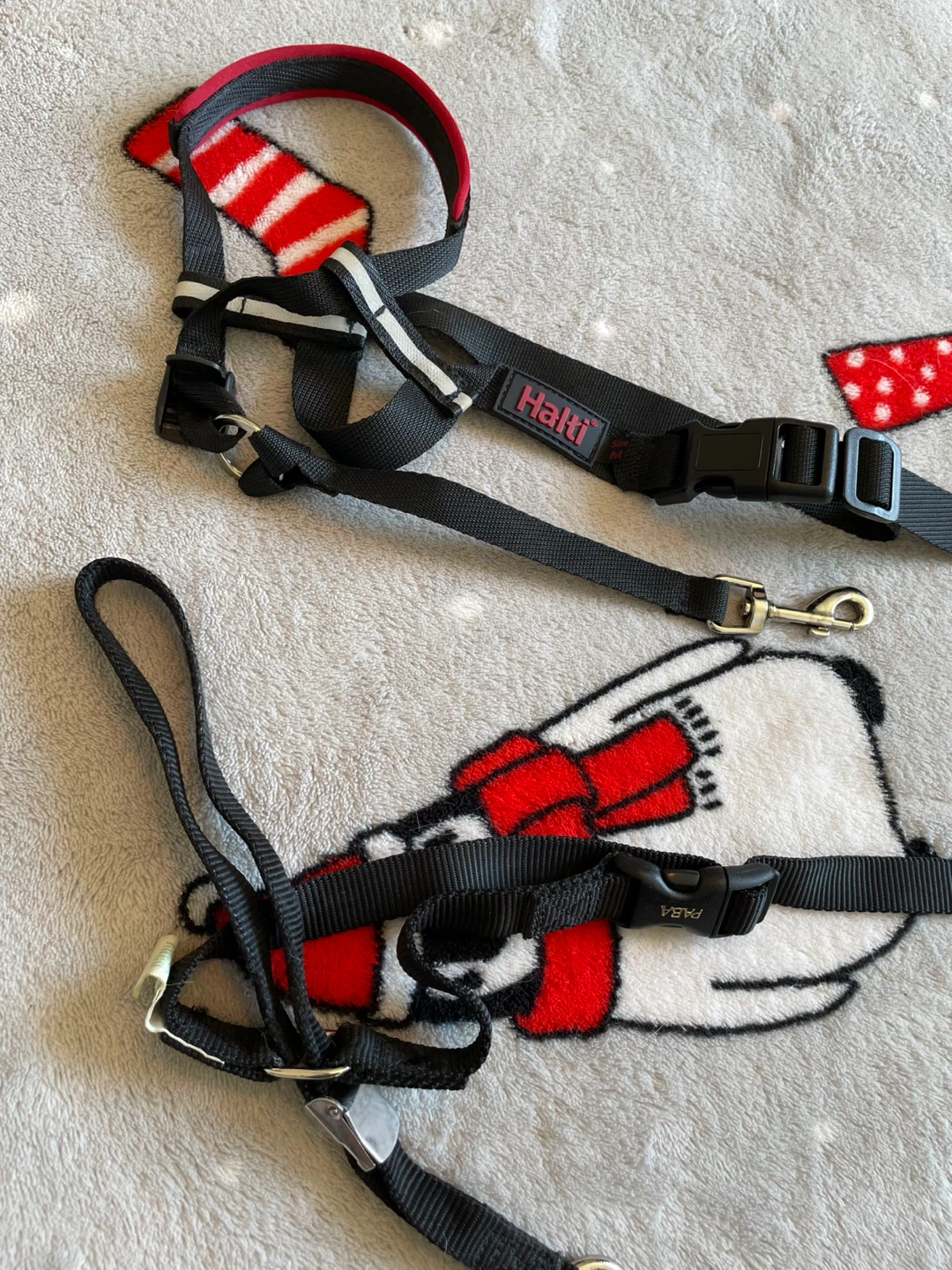 Medium Dog Halti Headcollars Lot - photo 2