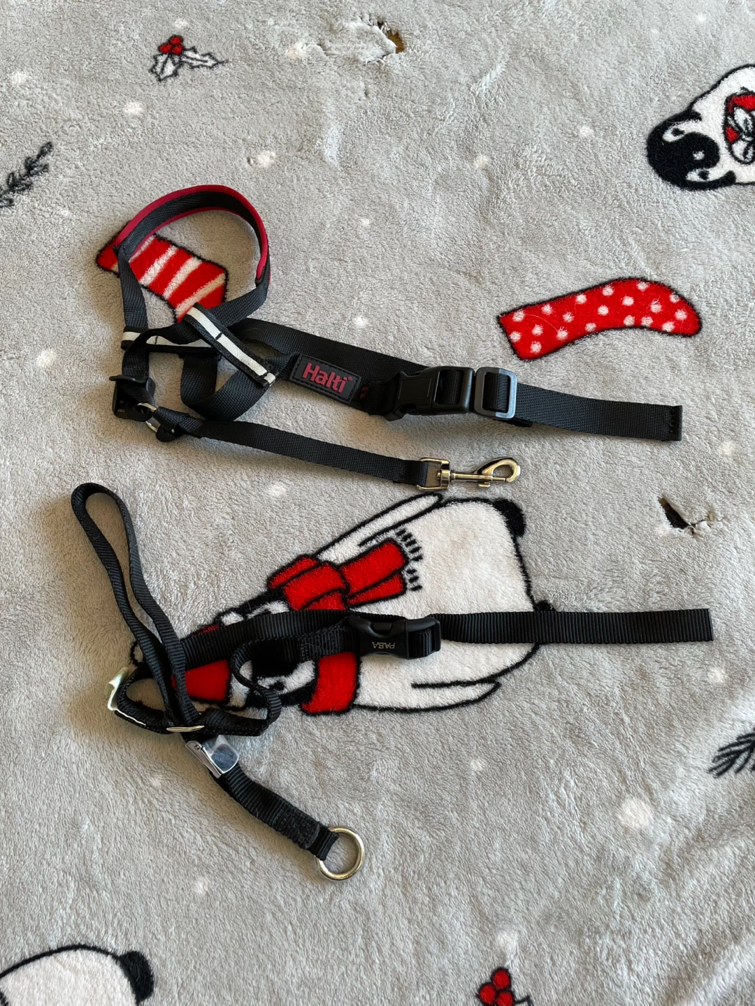 Medium Dog Halti Headcollars Lot