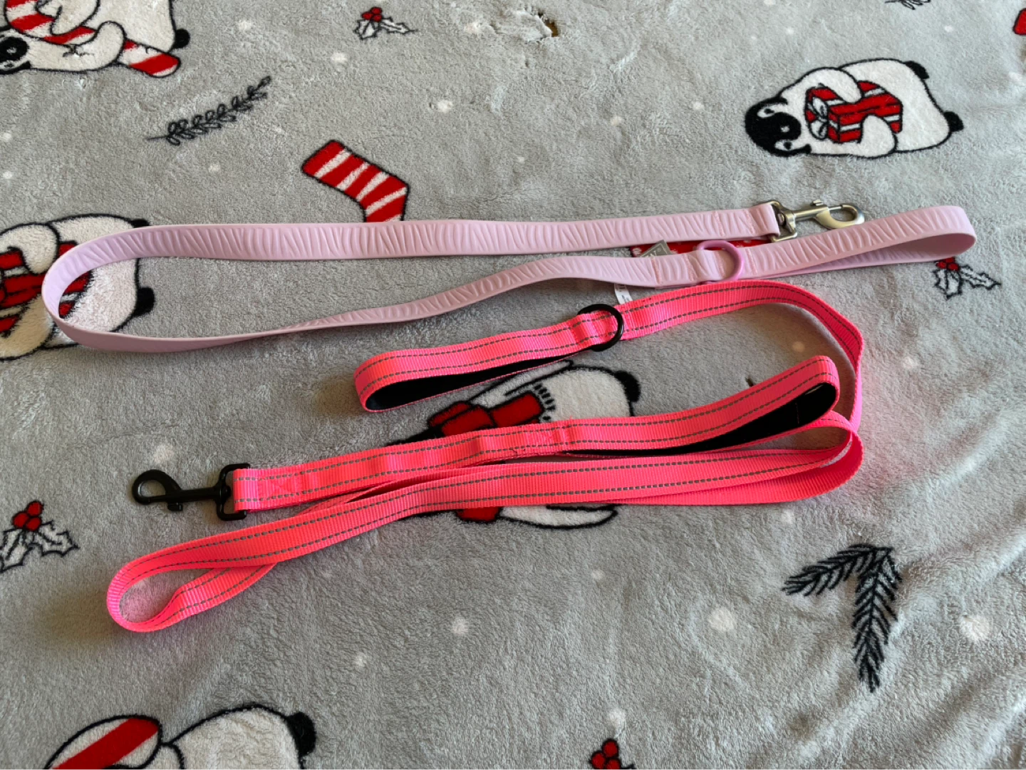 Large Dog Leashes