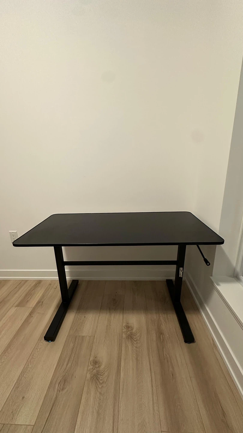 Adjustable Standing Desk - photo 4
