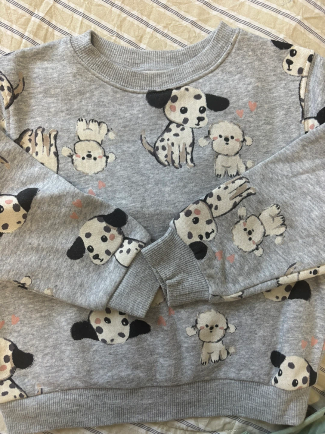 H&M Girl’s Sweatshirt & Set, 3T - photo 3