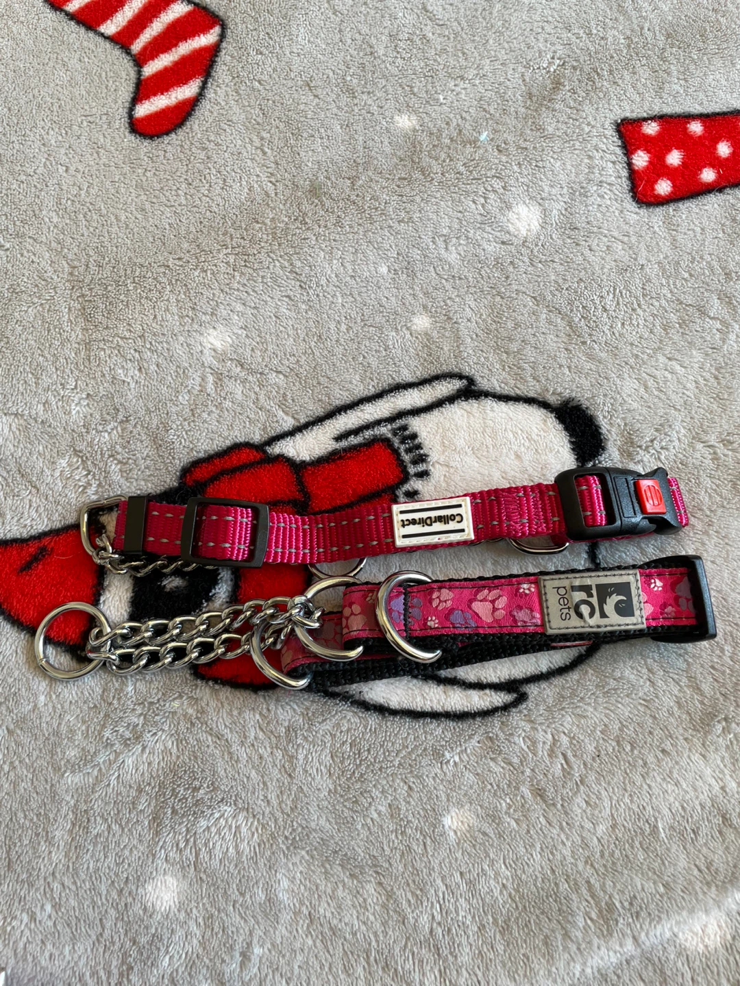 Small Dog Martingale Collars