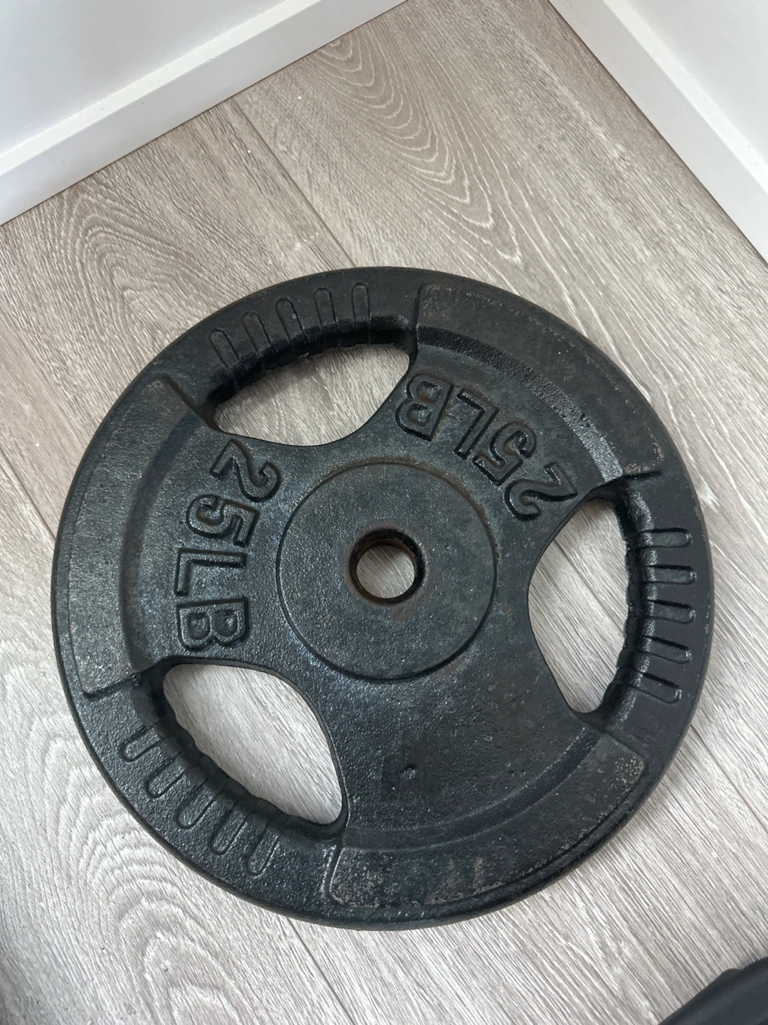 25 lb Weight Plate