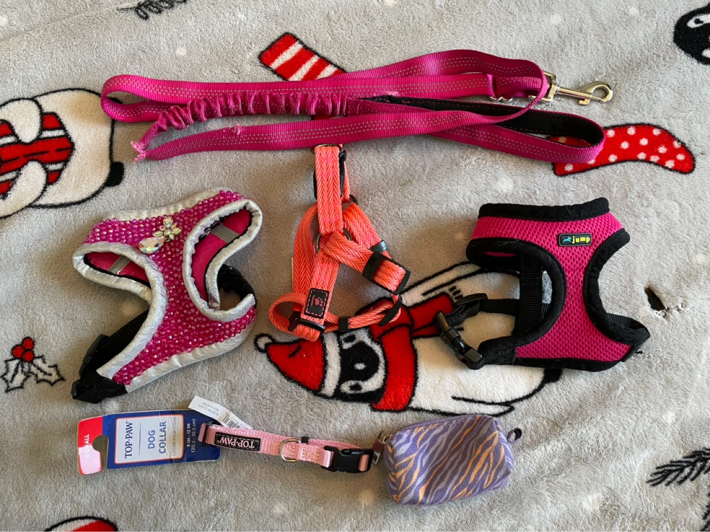 XXS Dog Harnesses & Leash Lot