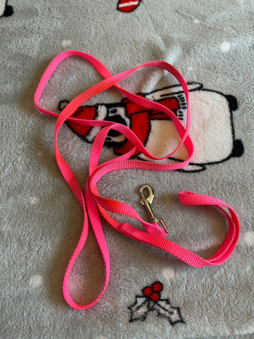 6’ Jump XS Dog Leash