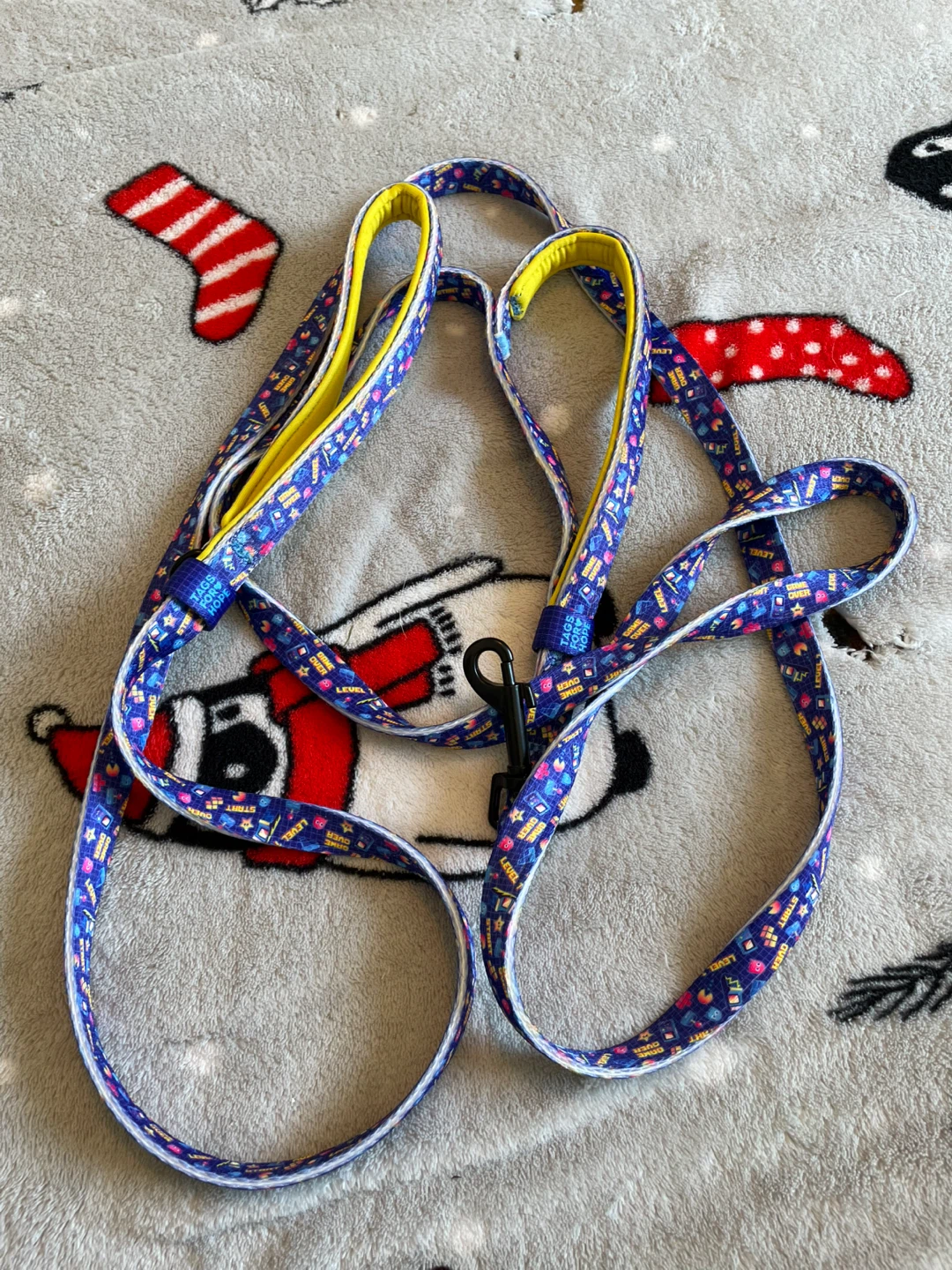 8’ TagsForHope Dog Leash