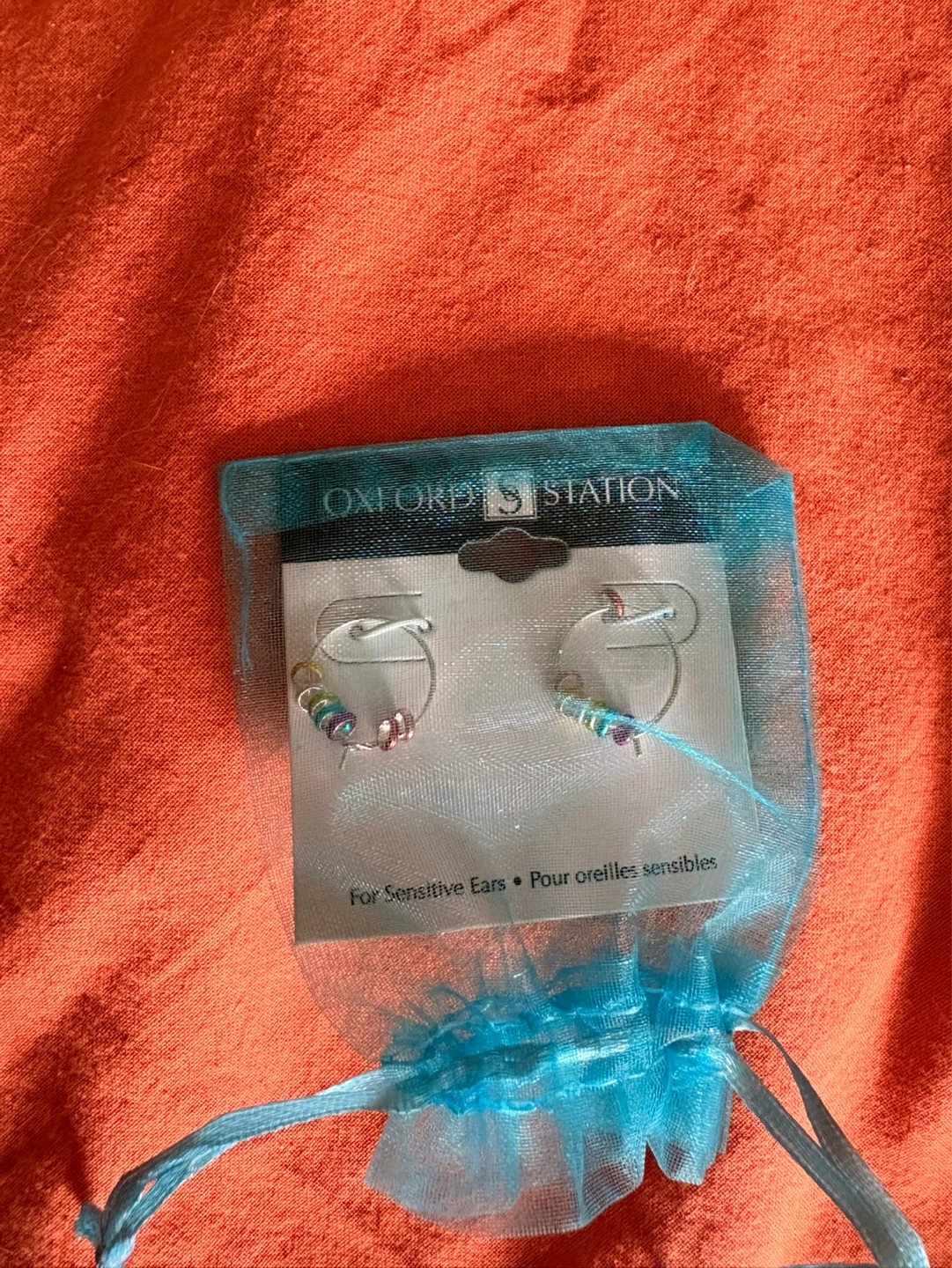 Oxford Station Hoop Earrings for Sensitive Ears