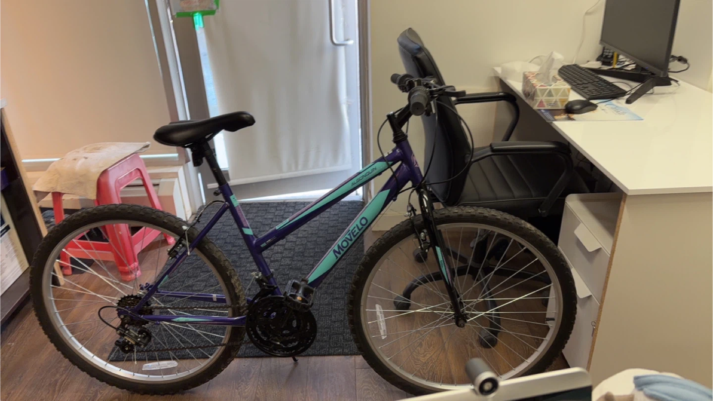Movelo Mountain Bike - Purple/Teal