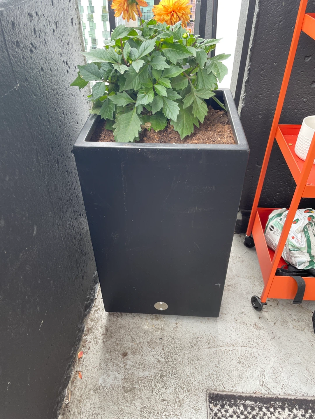Black Square Planter Pot