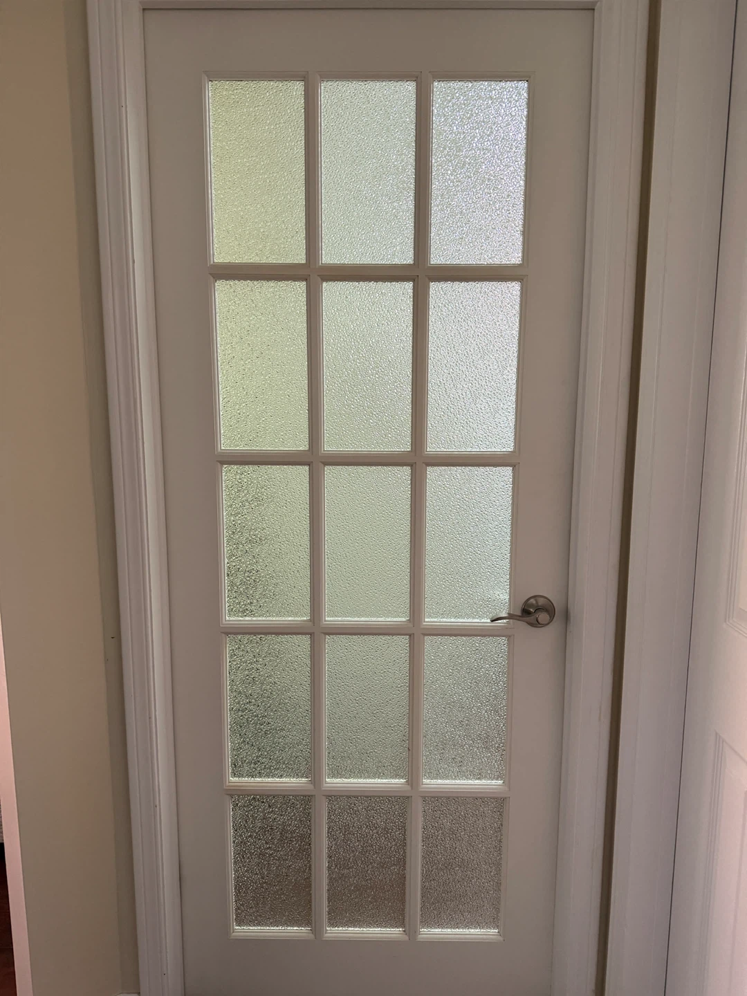 White Interior Door with Frosted Glass Panes