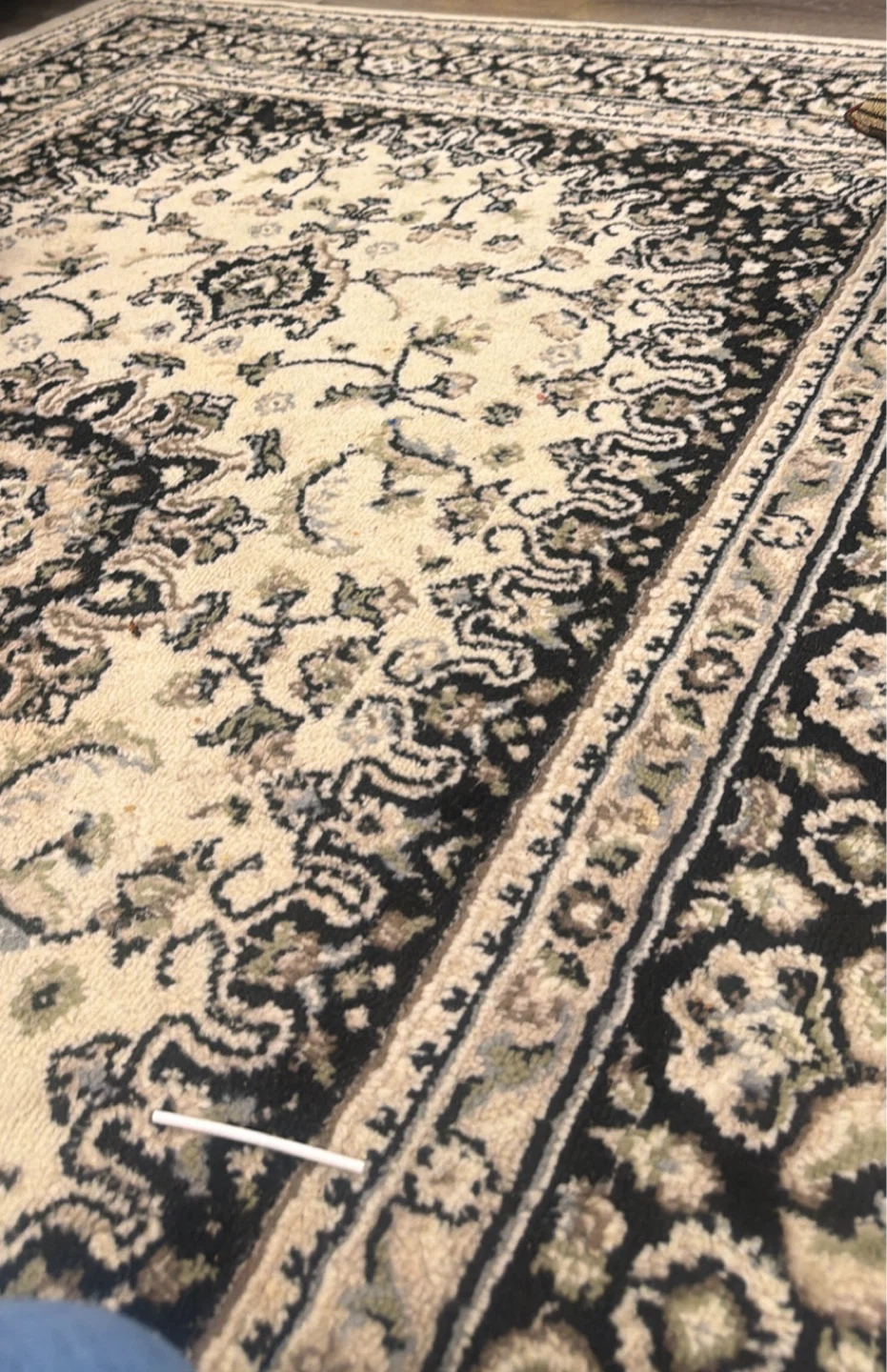 Persian Style Area Rug