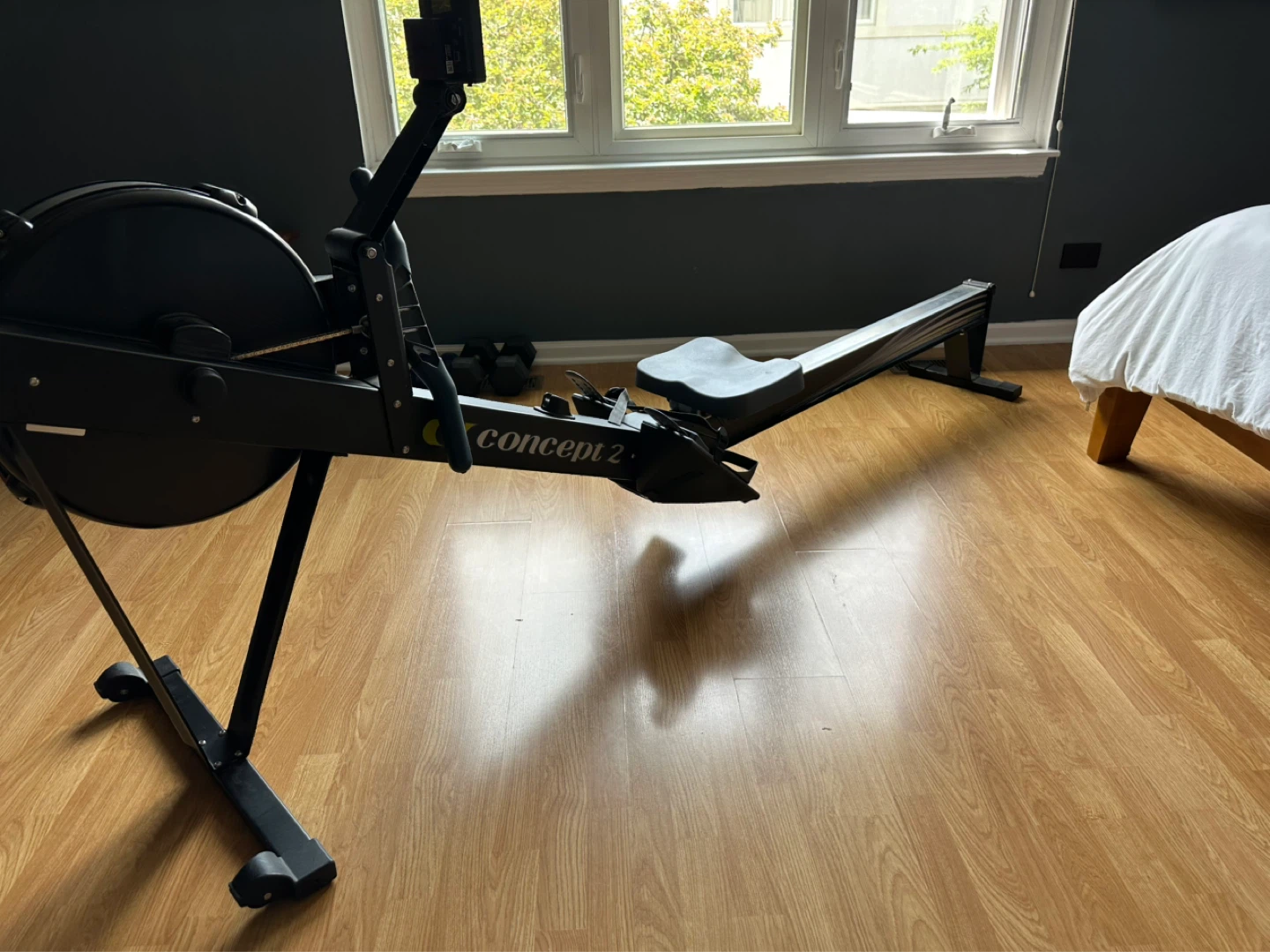 Concept 2 Rowing Machine PM5