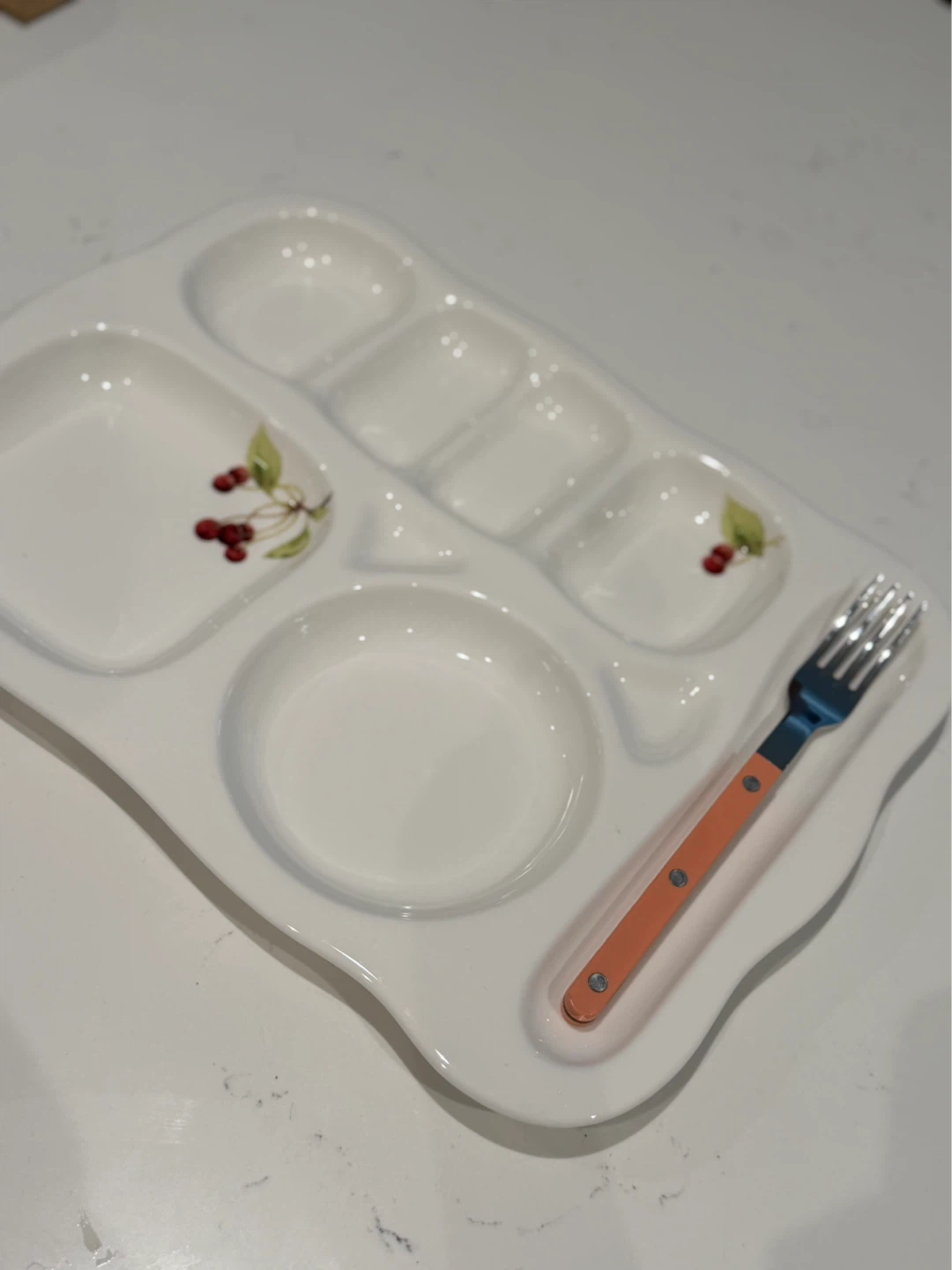 Premium Ceramic Divided Diet / Tray / Plate