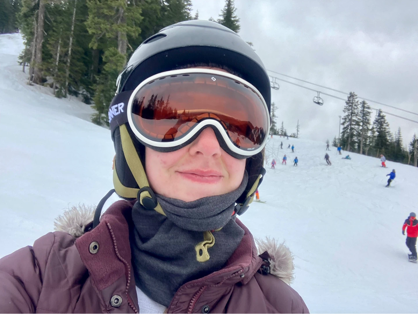Ski/Snowboard Goggles - photo 3