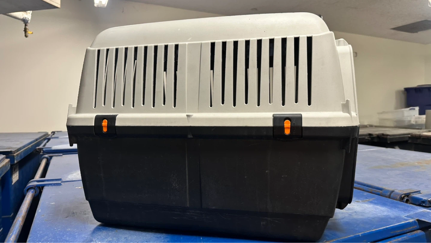 Pet Carrier - photo 2
