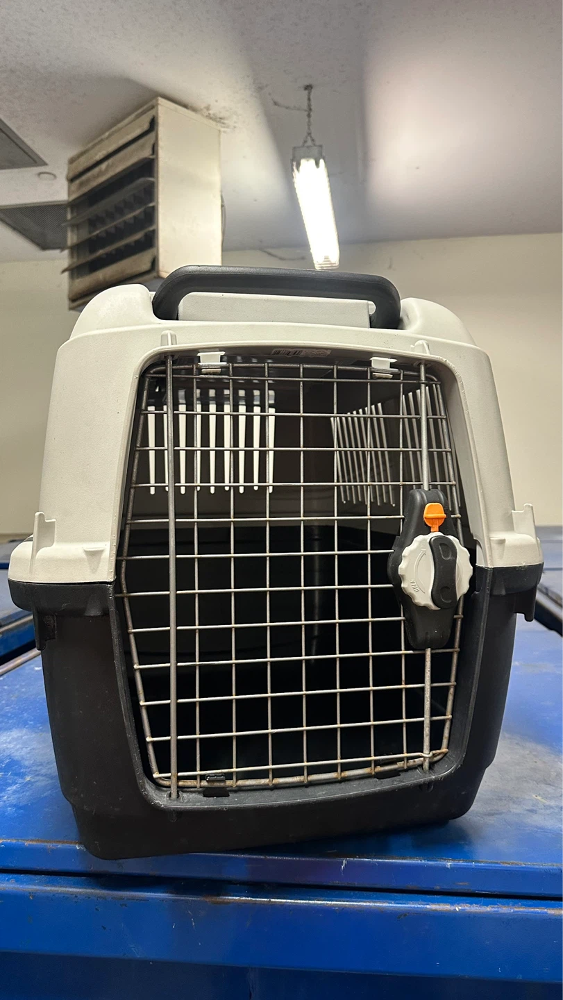 Pet Carrier
