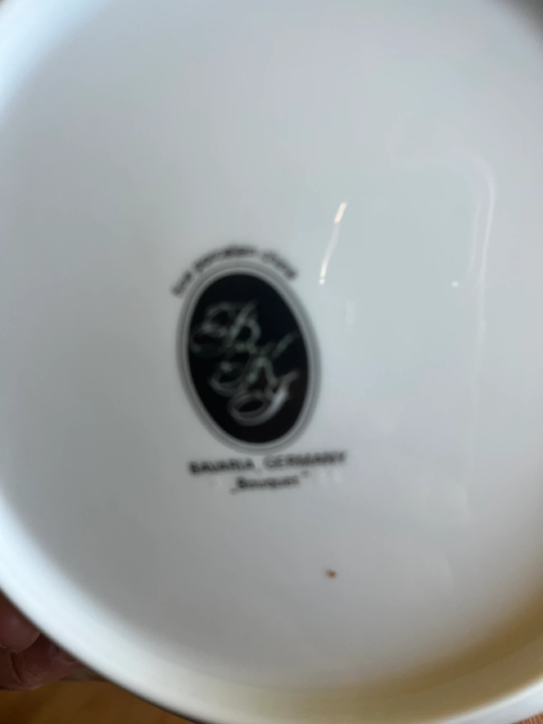 Bavaria Germany "Bouquet" China Set - photo 2