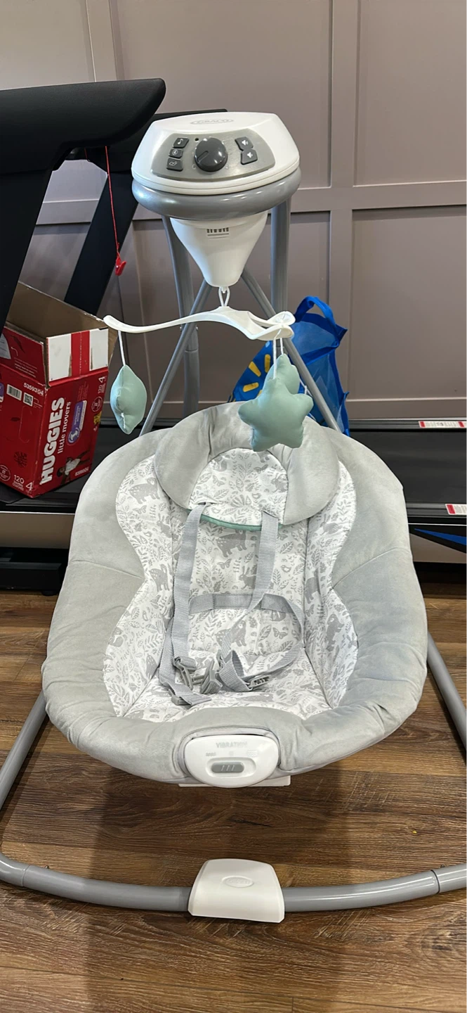 Graco Baby Swing