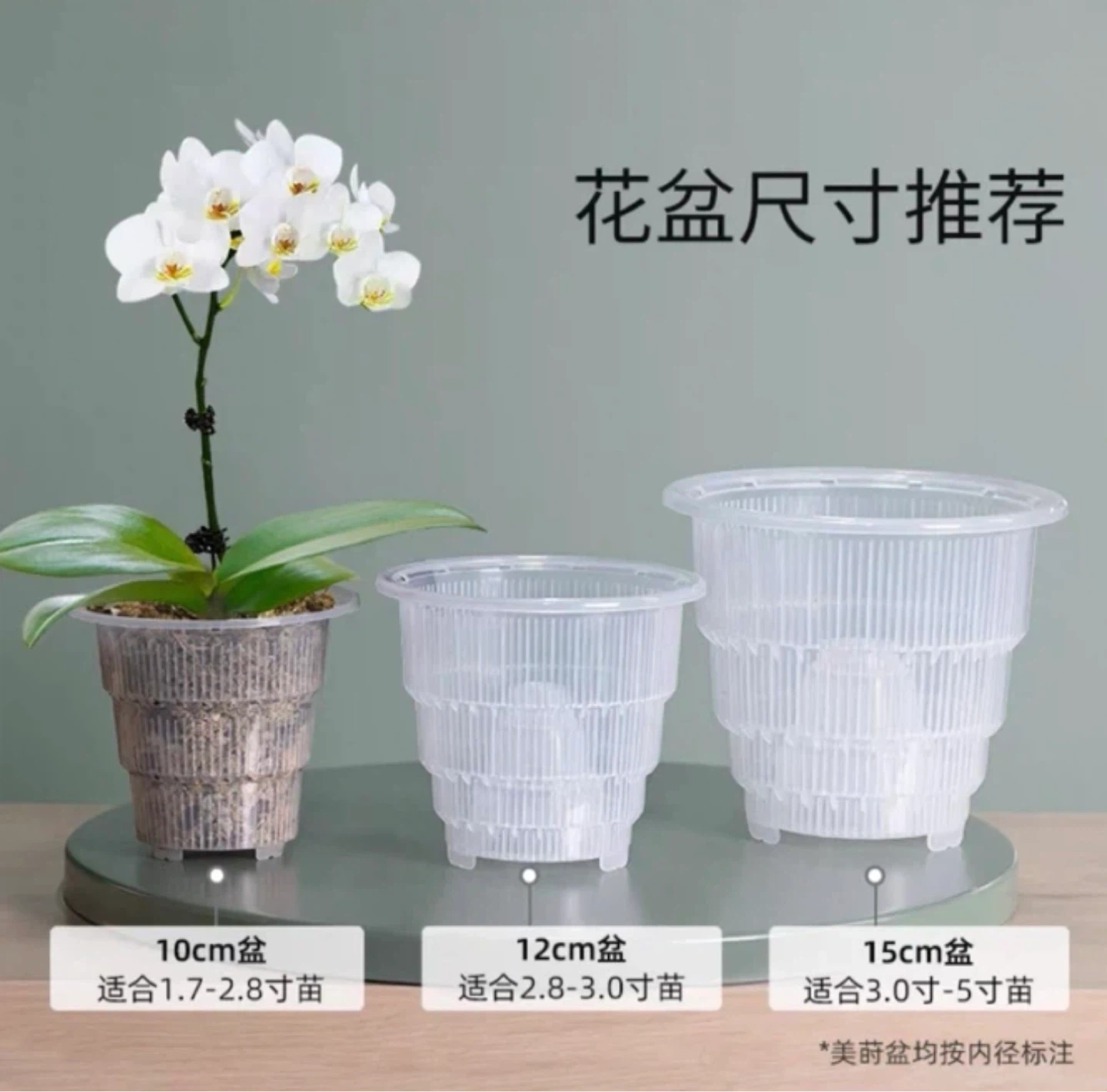 Clear Plastic Orchid Pots