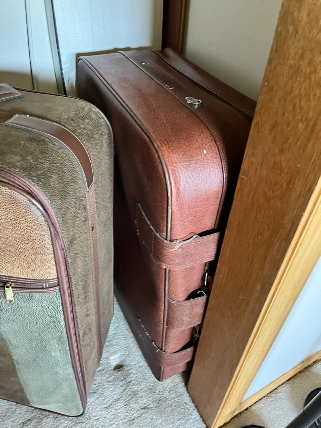 Vintage Jaguar Suitcase Luggage