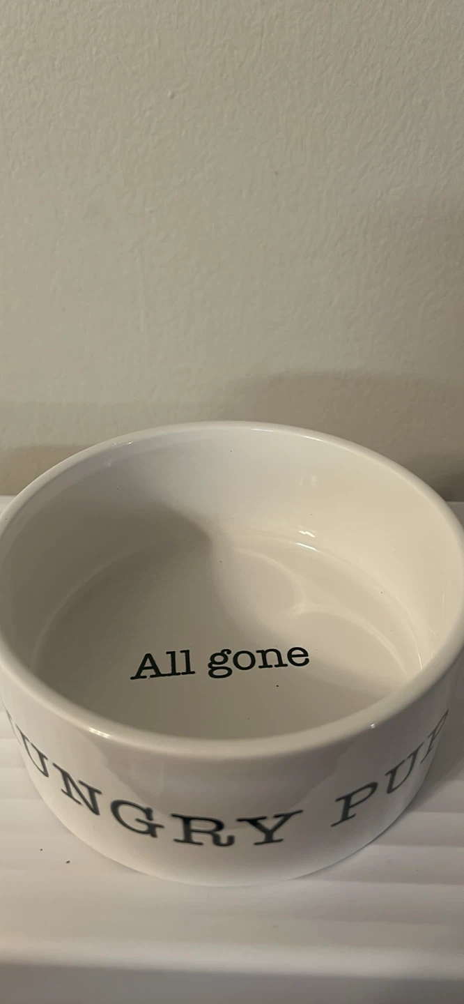 White "All Gone" Dog Bowl - photo 4