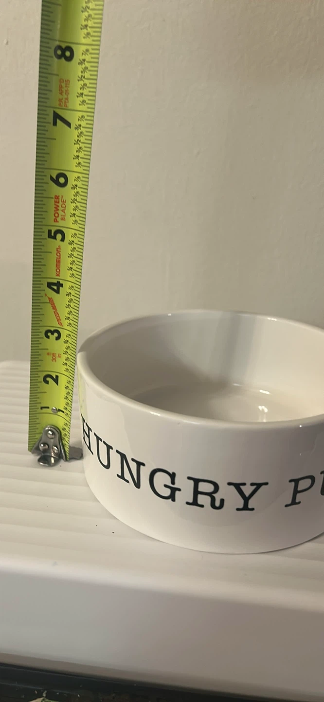 White "All Gone" Dog Bowl - photo 3