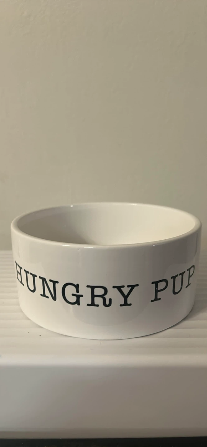 White "All Gone" Dog Bowl