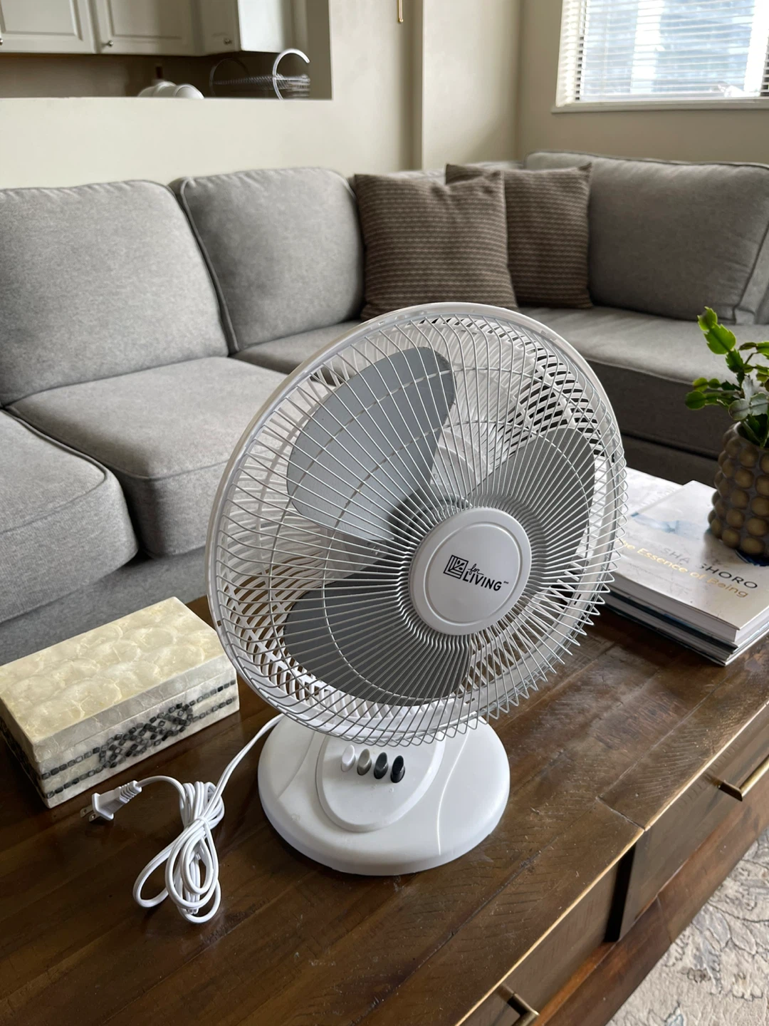 for LIVING white fan - photo 5