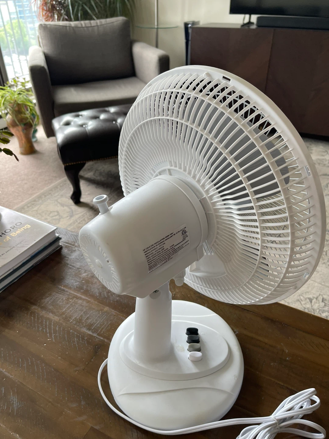 for LIVING white fan - photo 3