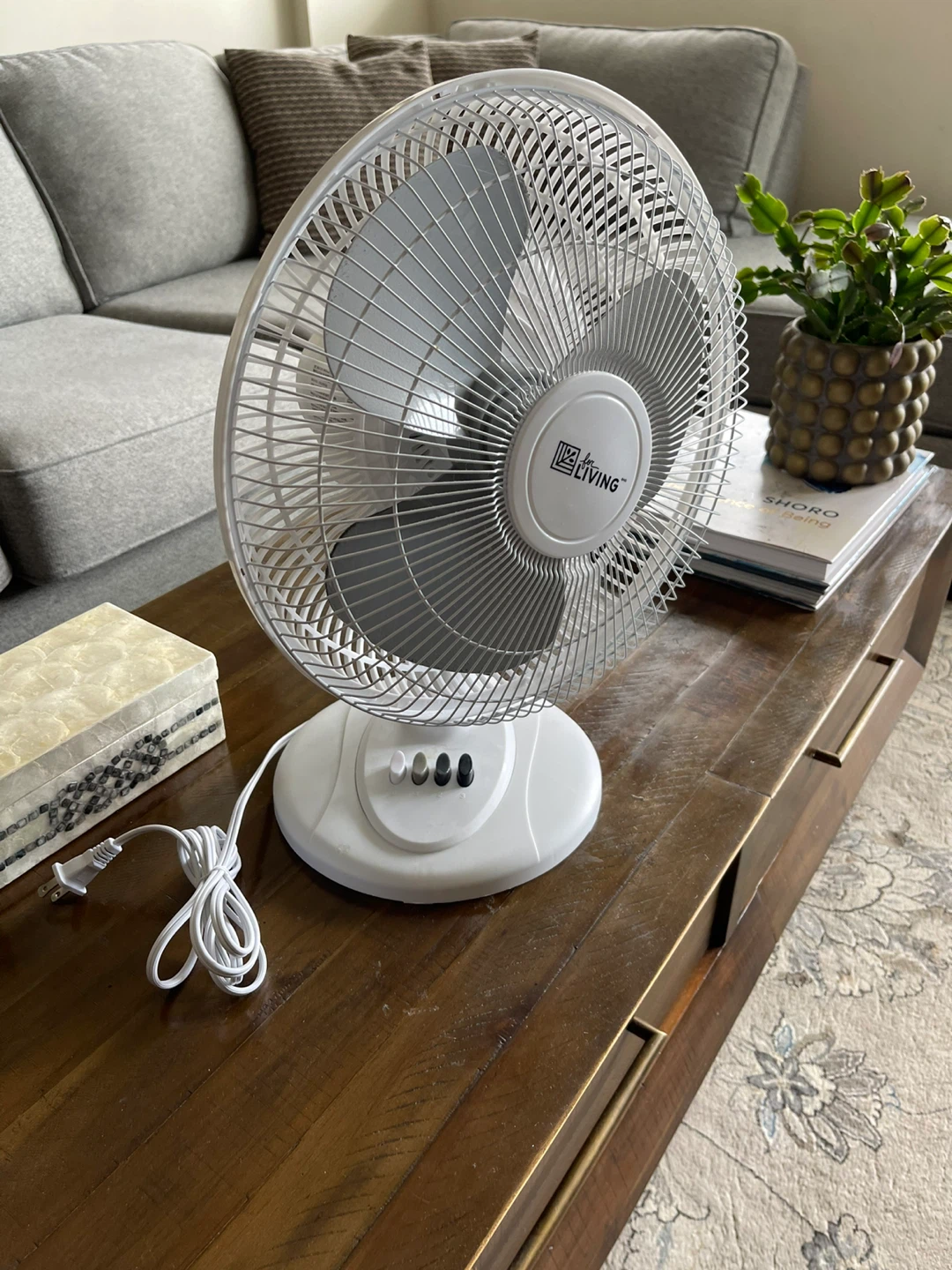 for LIVING white fan