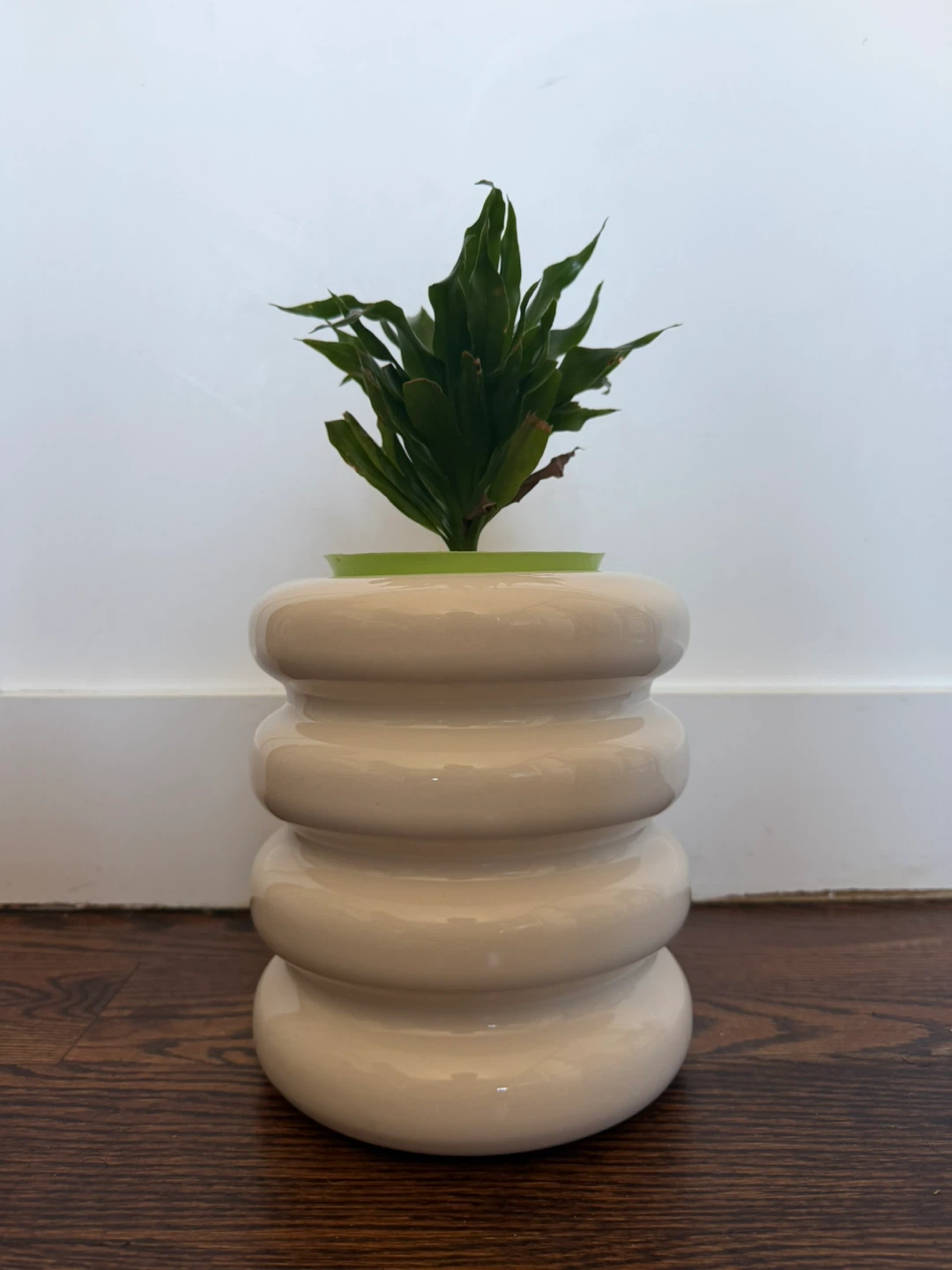 CB2 WHITE CERAMIC PLANTER