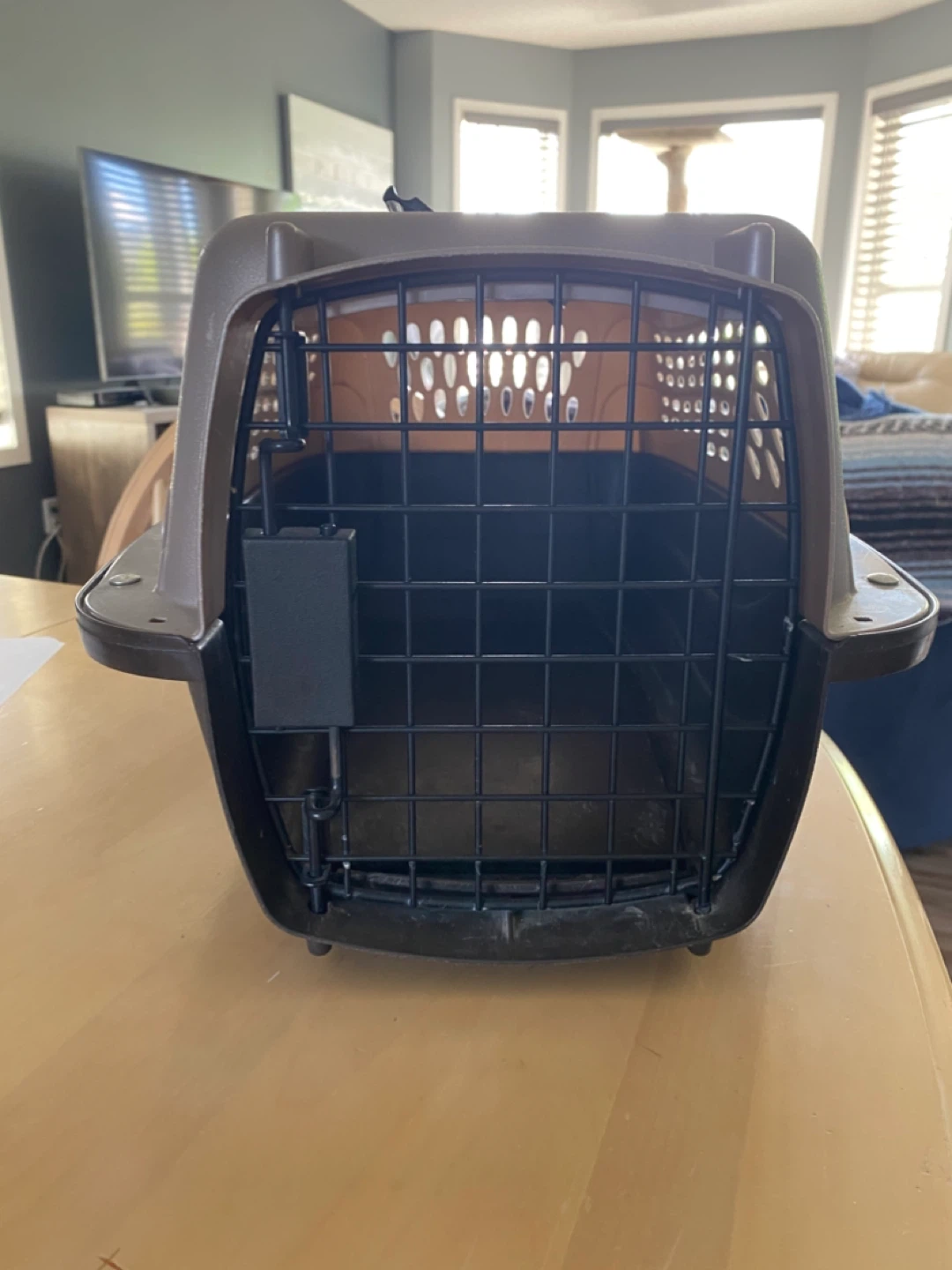 Cat Crate/Kennel
