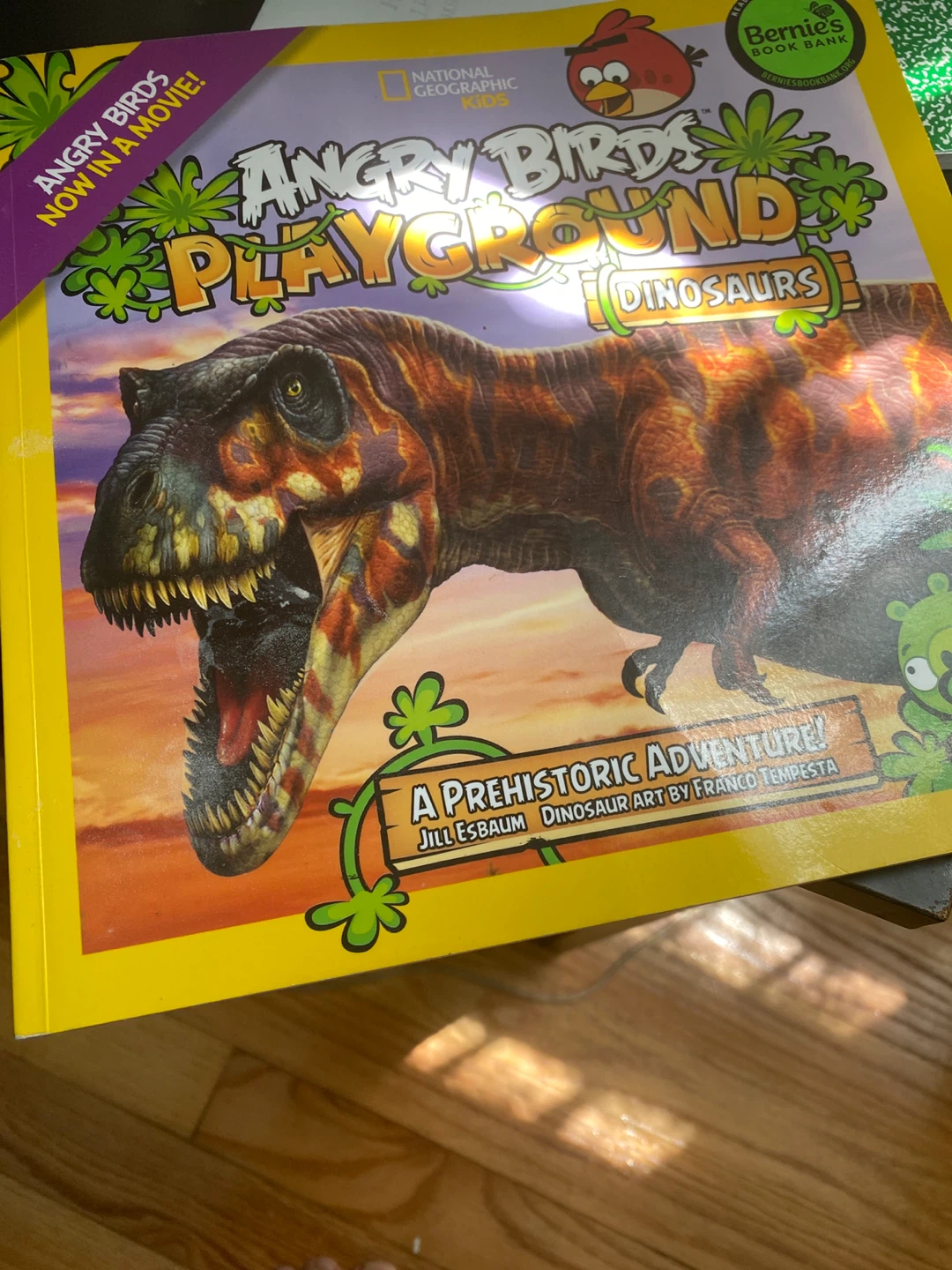 Angry Birds Playground Dinosaurs Book