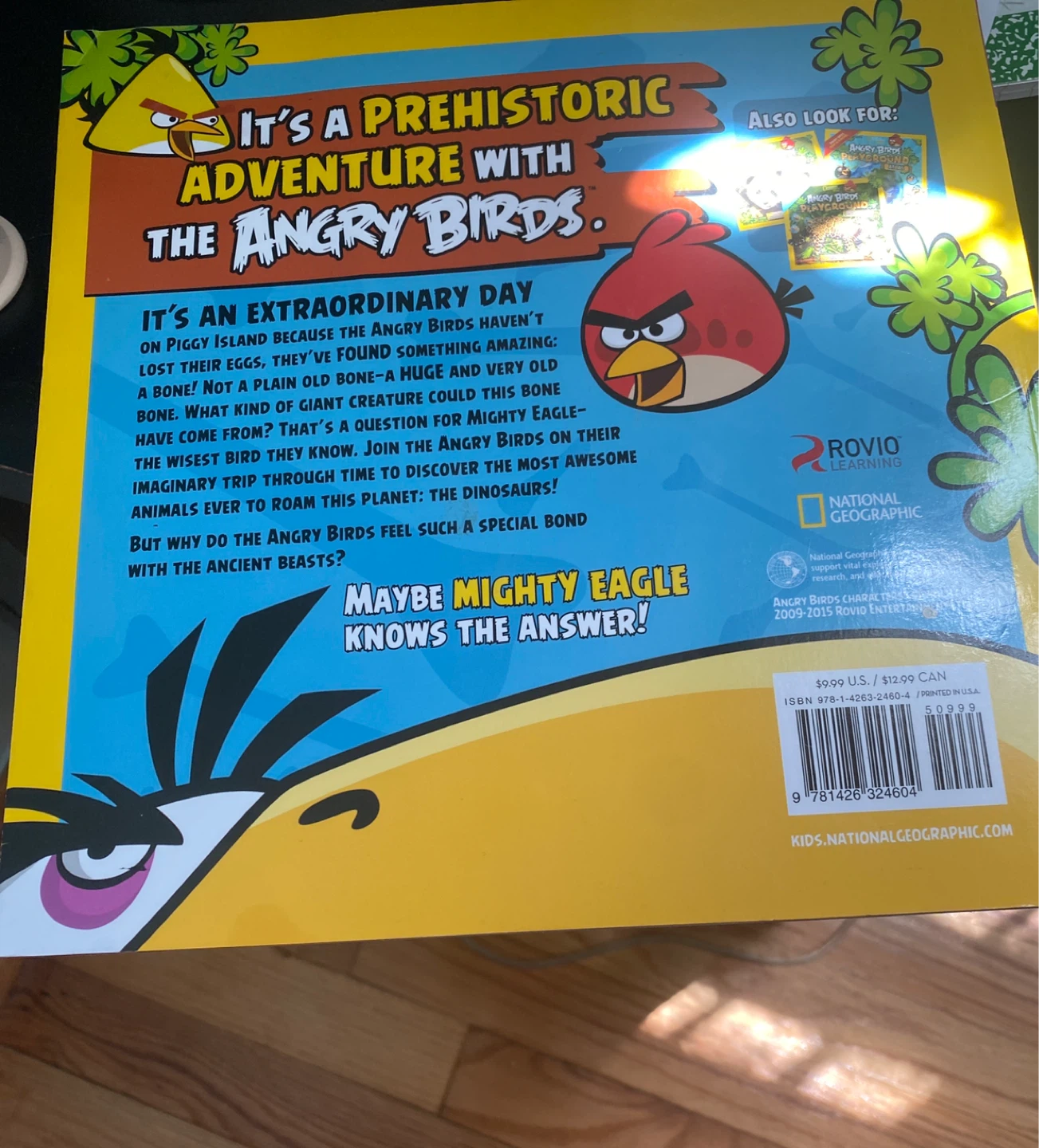 Angry Birds Playground Dinosaurs Book - photo 2
