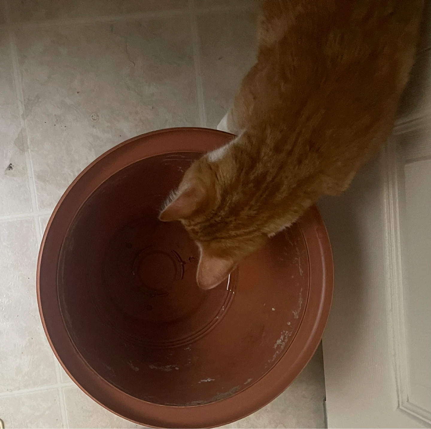 Terracotta coloured plant pot with saucer - photo 5