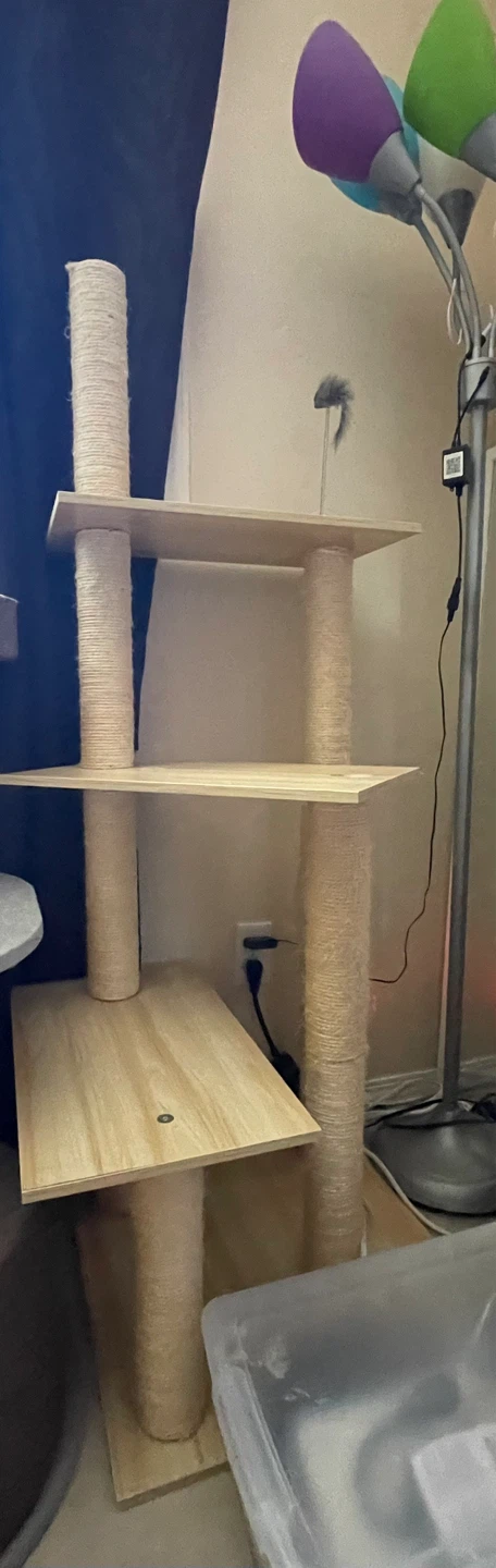 Cat Tree Condo with Multiple Levels - photo 2