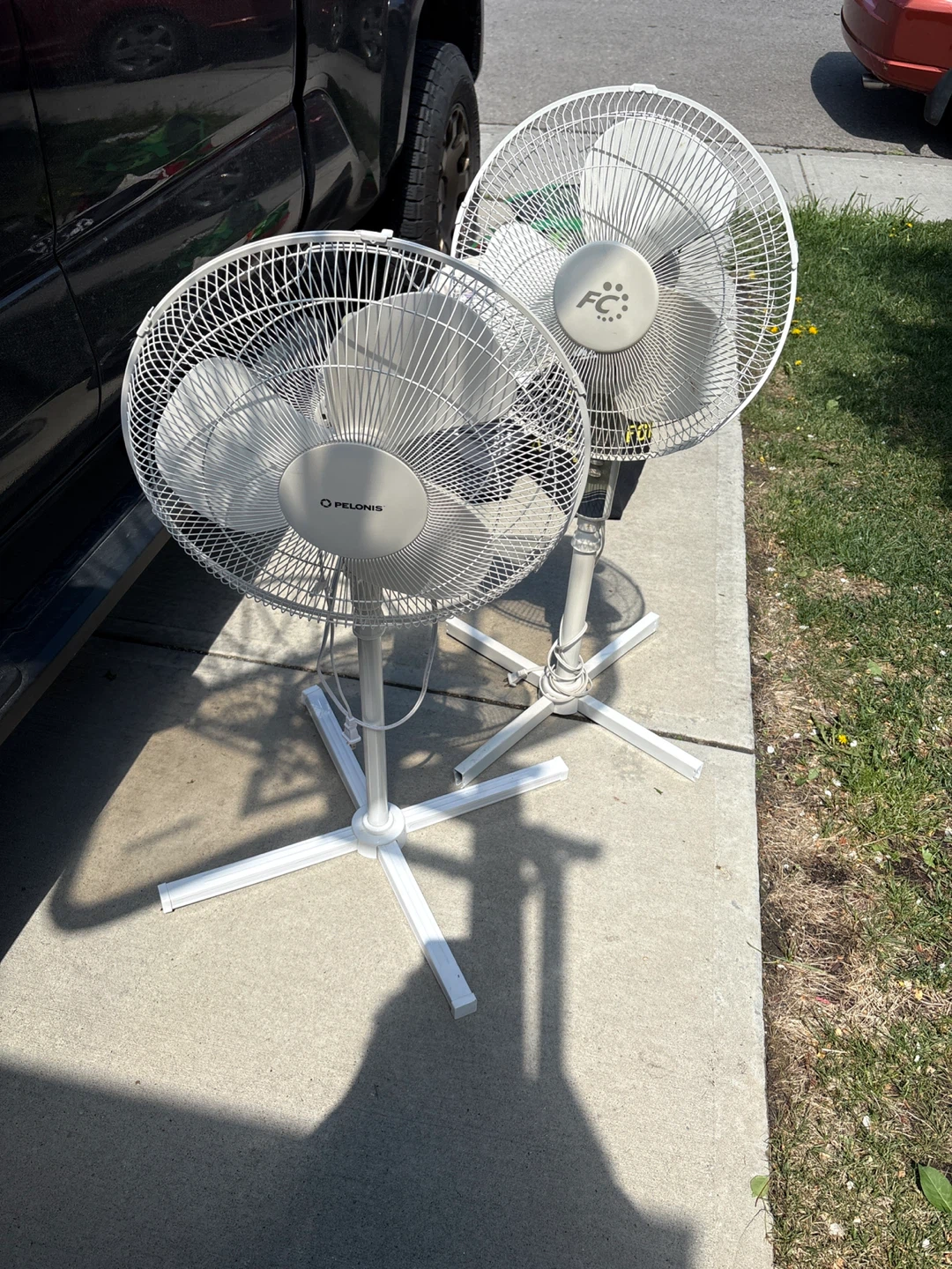 Pelonis Oscillating Pedestal Fan