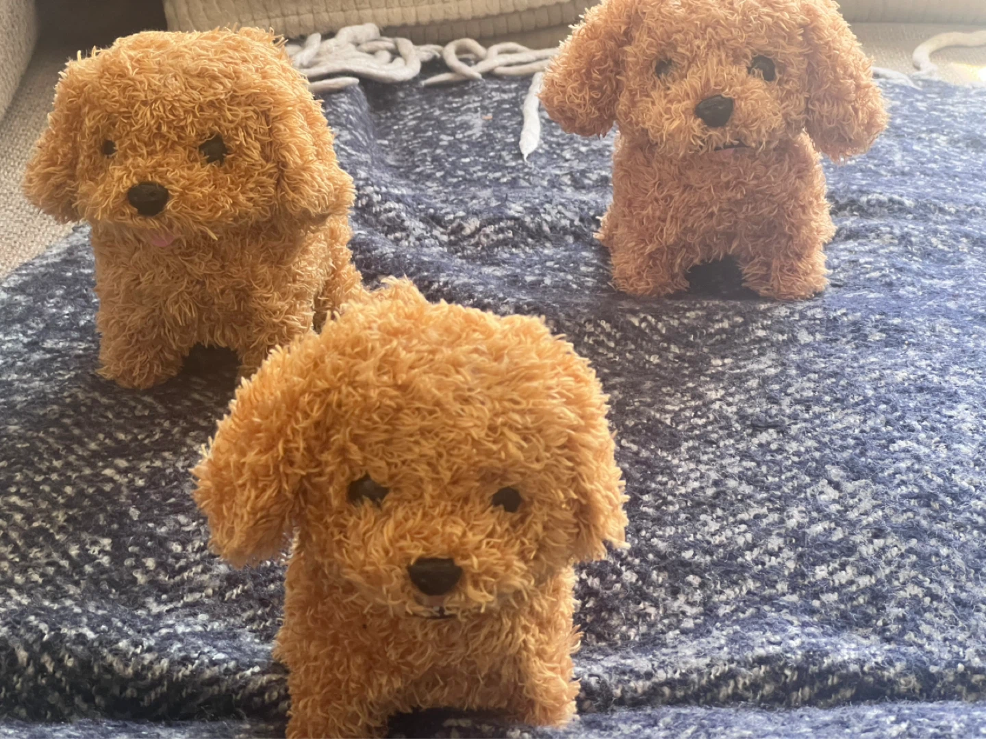 Three Plush Stuffed Toy Poodles