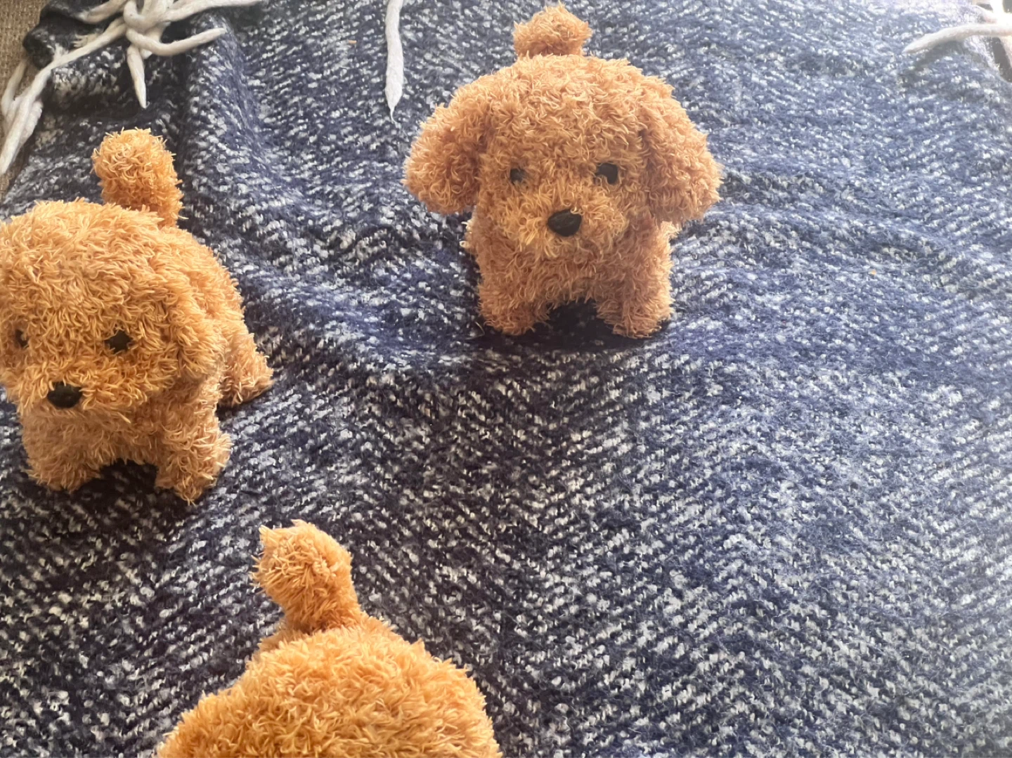 Three Plush Stuffed Toy Poodles - photo 2