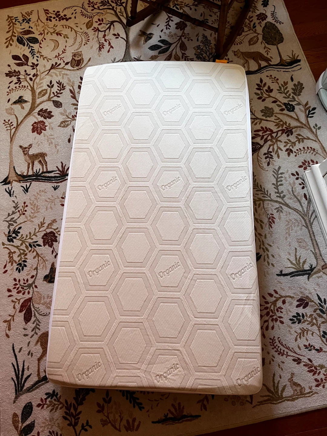 Crib Mattress + Protector