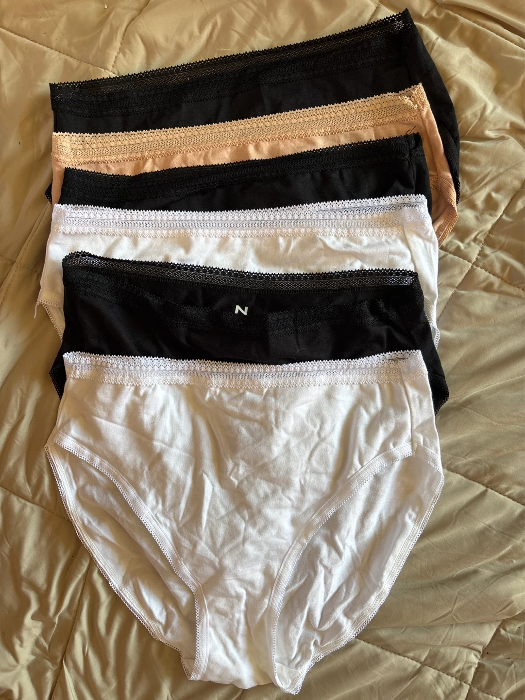 Natori Women's Briefs - 6 Pack - S/P