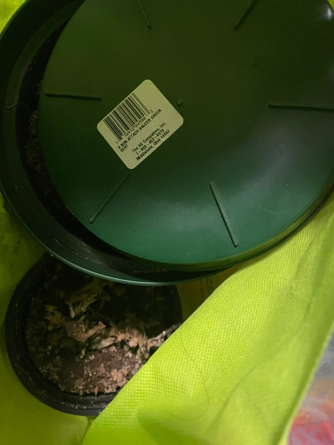 Plant pots with soil from plastics 3x - photo 2