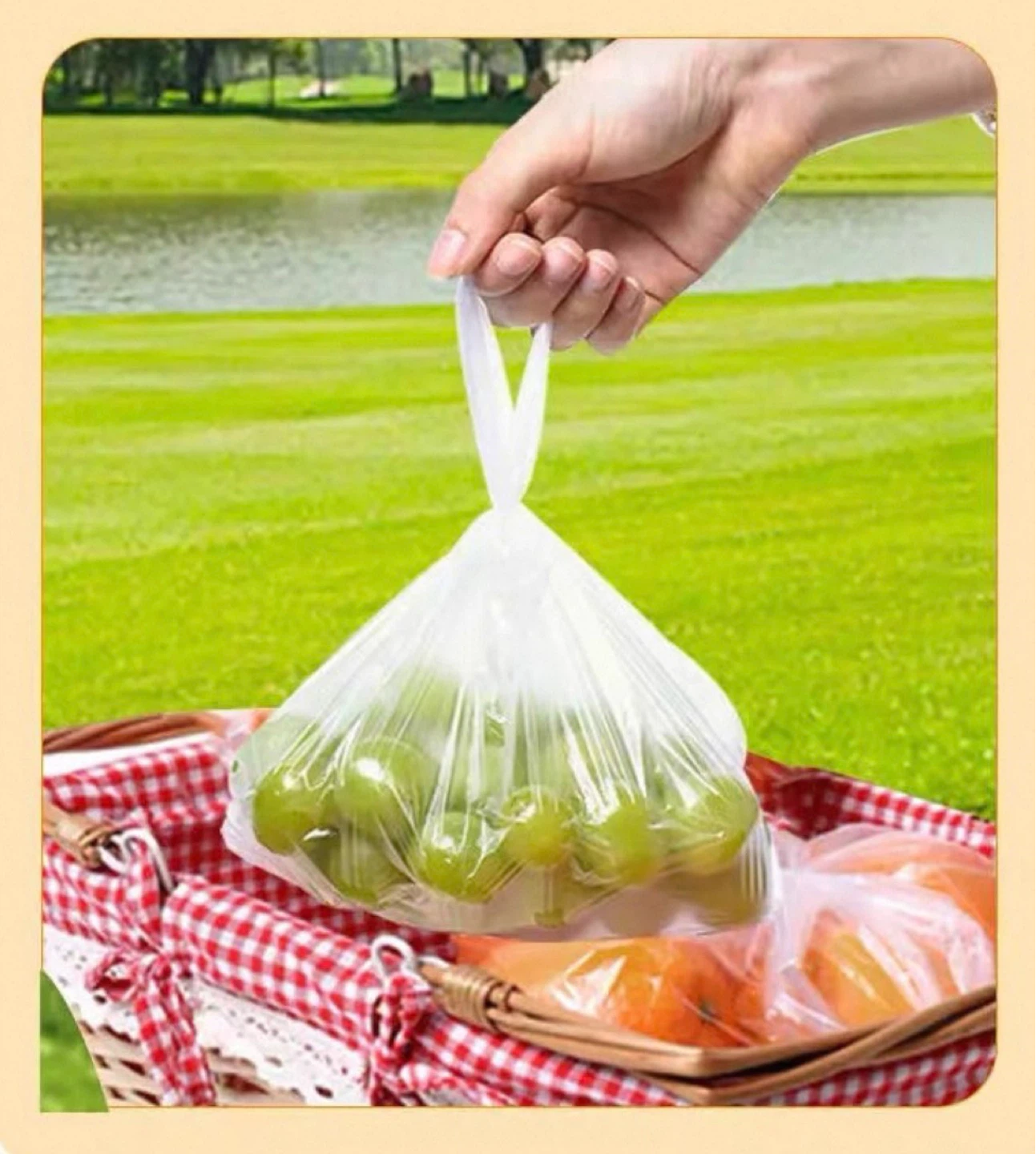 Vest-Style Food Storage Bags with Handles (Medium / Large)