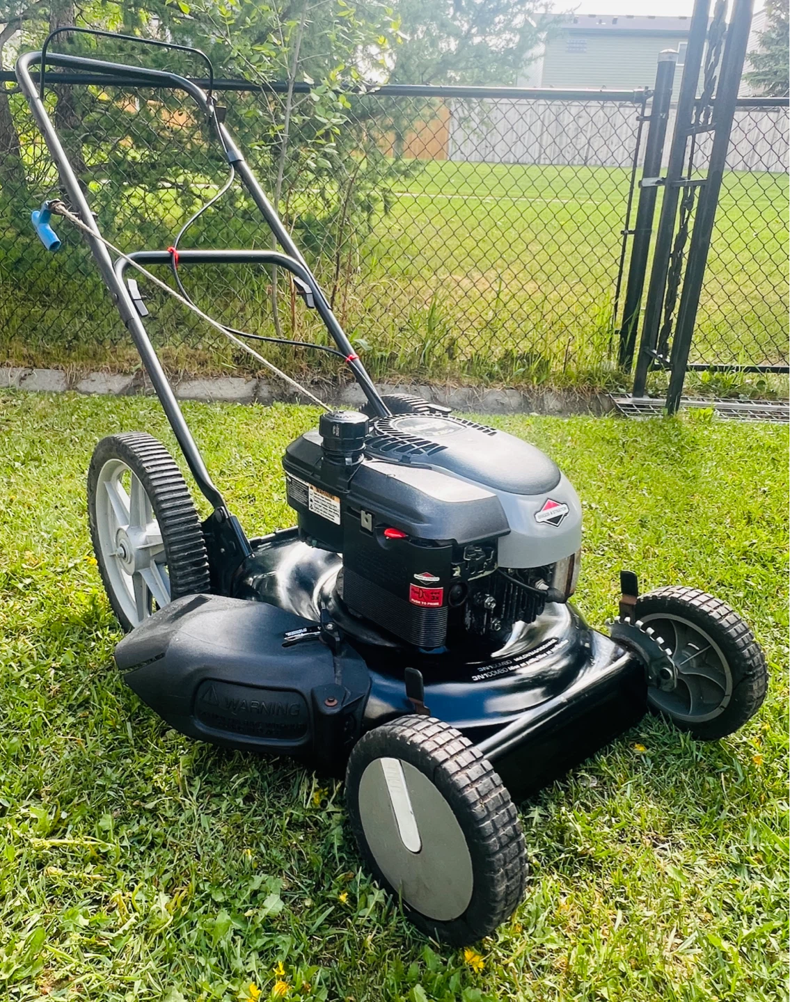Murray Lawnmower - photo 5