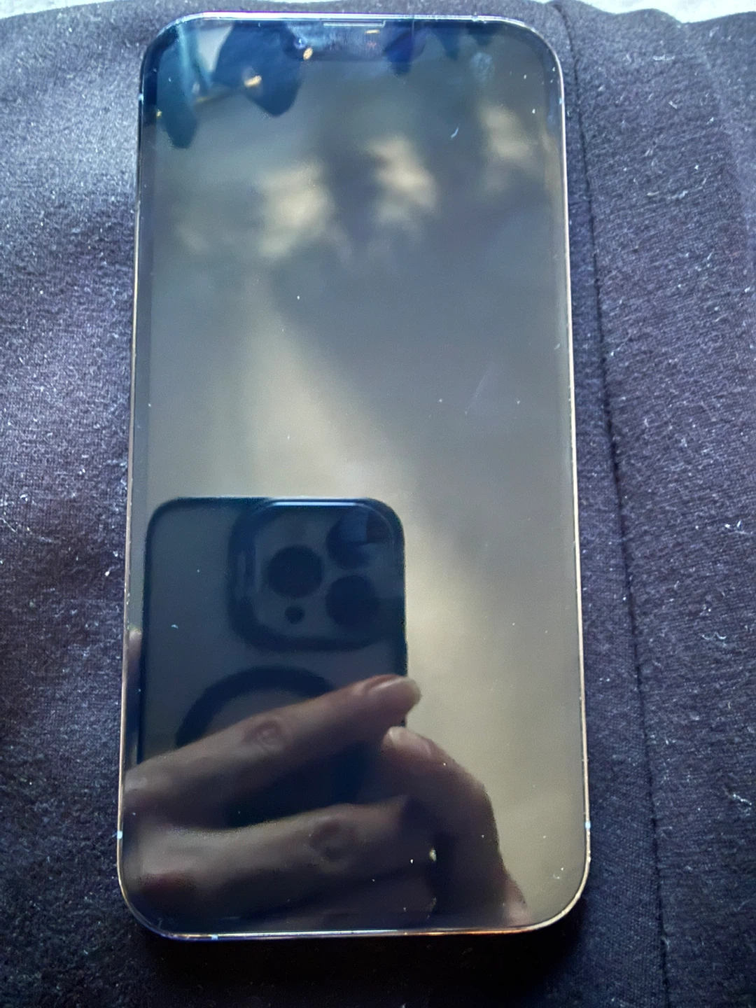 Unlocked Apple iPhone 13 Pro Max 1TB 83% BH Excellent