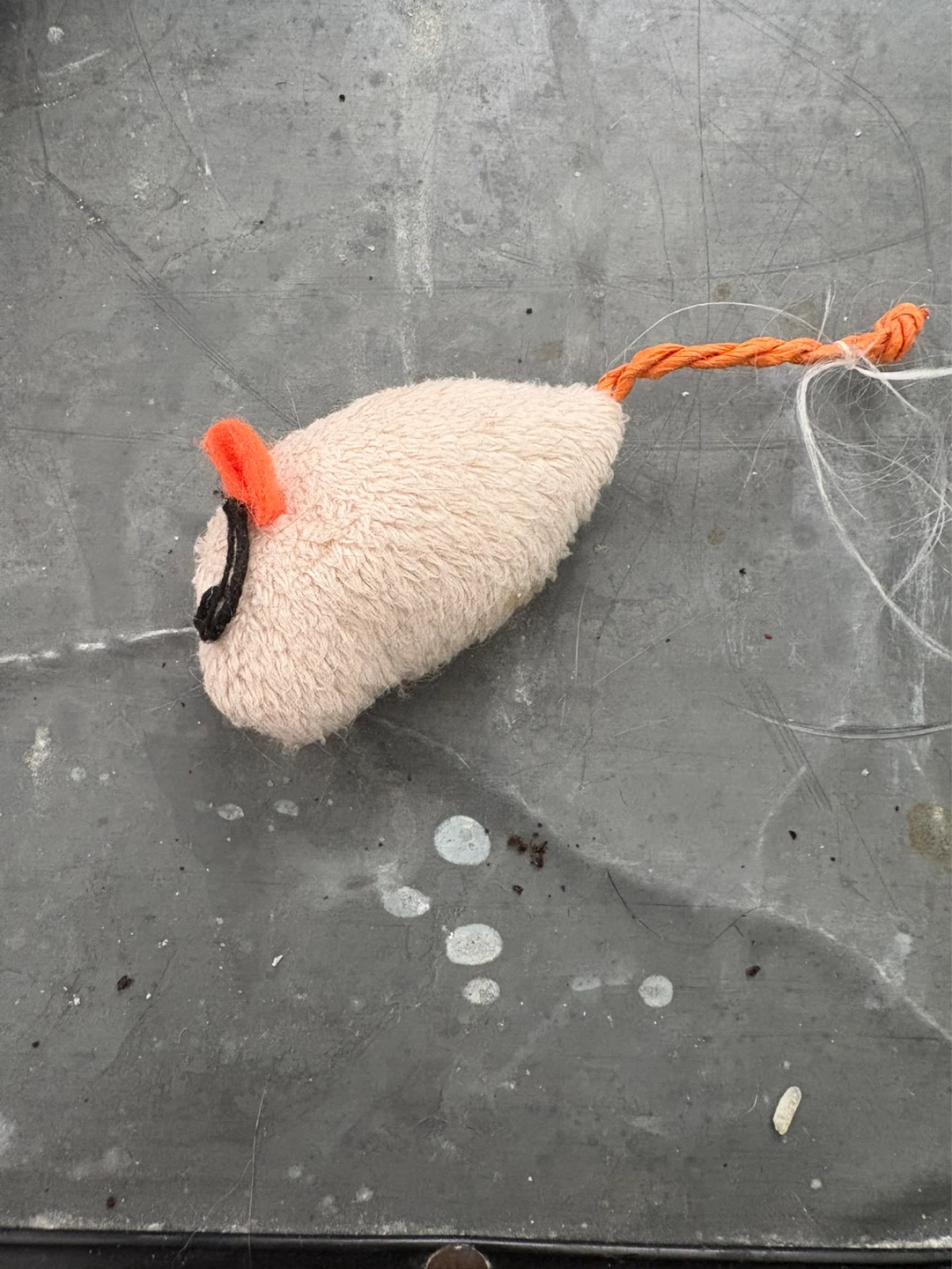cat toy