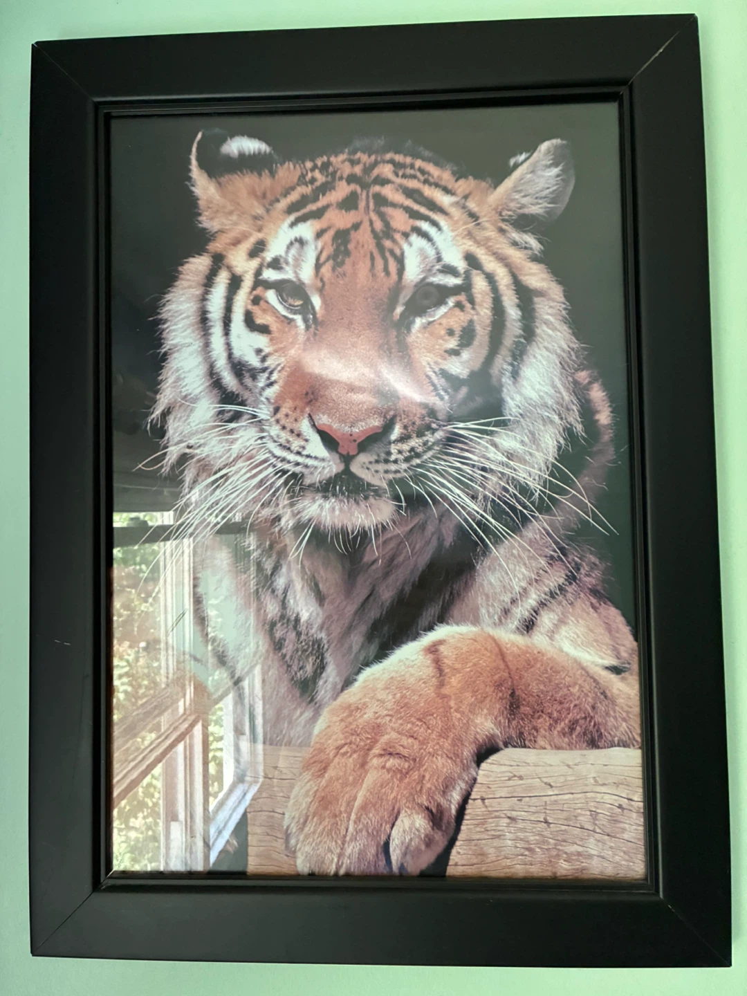 Framed Animal Art Prints - photo 3