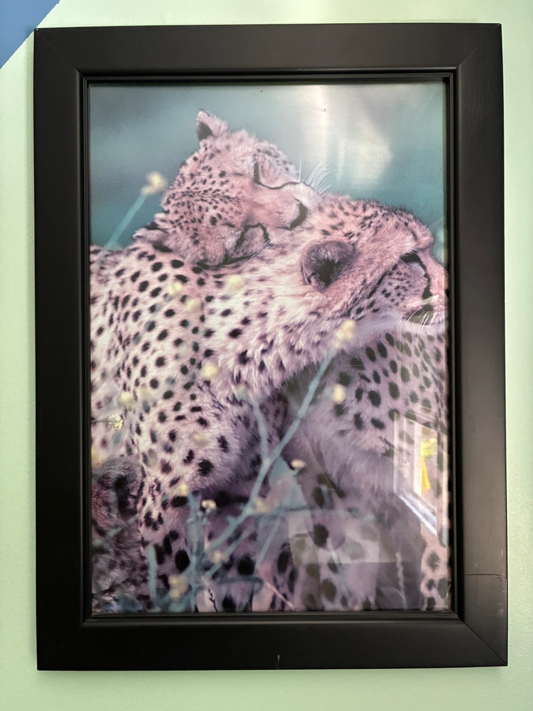 Framed Animal Art Prints - photo 4